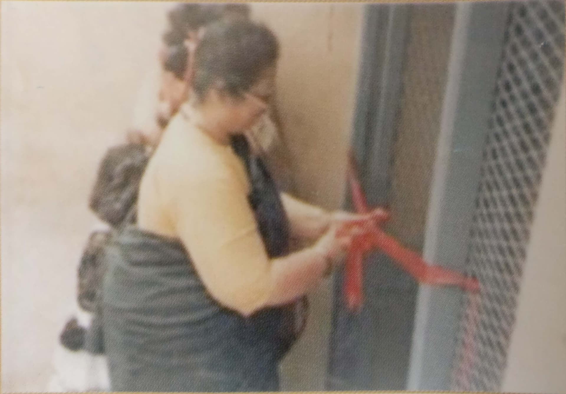 Timeline image for 1995